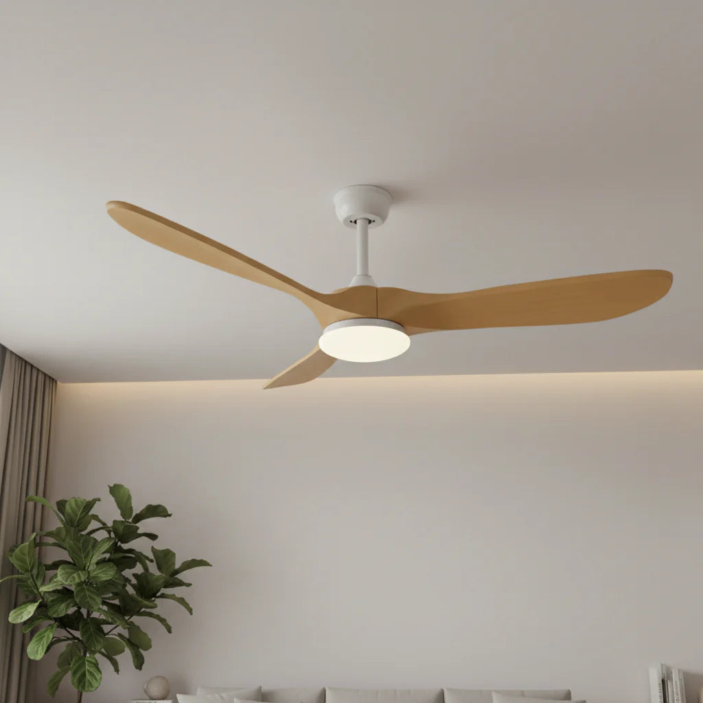 Aria en situation dans un intérieur