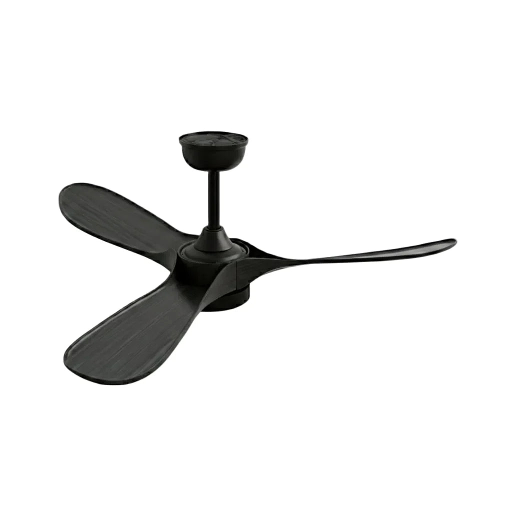 Borée | Ventilateur vintage noir et ABS noir, LED