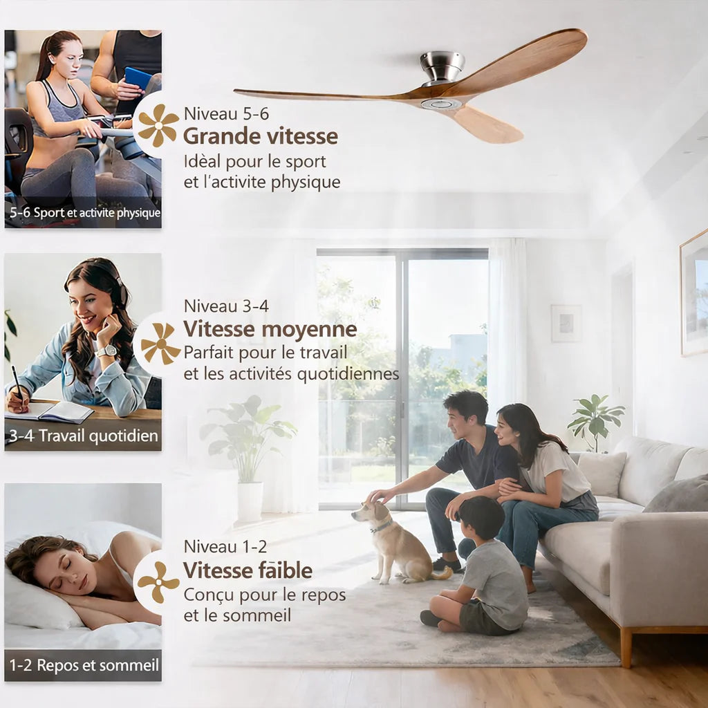 Nordkapp | Ventilateur éclairage LED bois foncé et noir