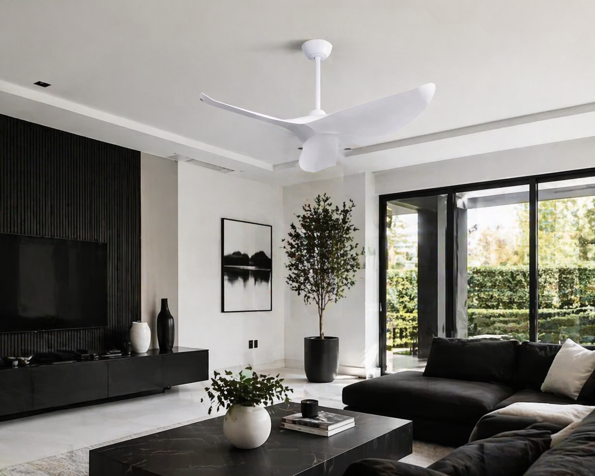Capraia en situation dans un intérieur