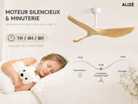California |132 cm avec Pales Finition Bois Moteur DC Basse Consommation — vue 5